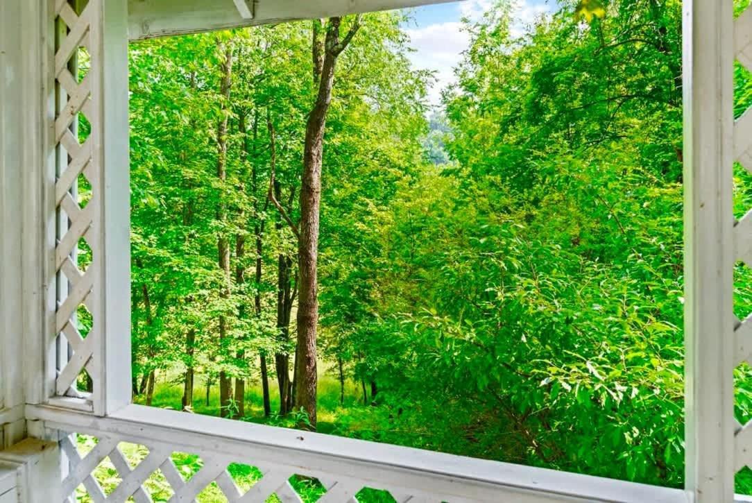 Gated Mansion - Basketball Court Movie Theater Views Villa Big Stone Gap Esterno foto